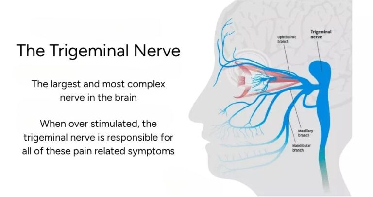 A diagram showing the trigeminal nerve and its branches in a human head, with text explaining it’s the largest, most complex brain nerve and how neurolens can help address pain symptoms when this nerve is overstimulated.